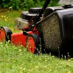 Mow Or Not Mow The Lawn