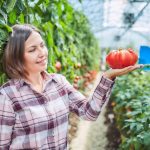 Pheromone Traps: Protecting The Garden From Insect Pests