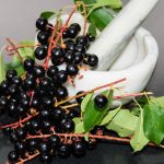 Prunus Padus Flour: What Is Useful And How To Prepare It