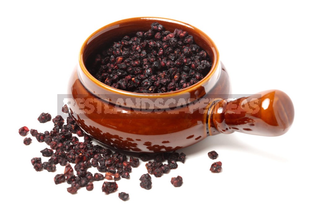 Schisandra Chinensis: Useful Properties And Contraindications For Use