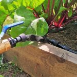 Self-Flowing System For Watering The Garden And Greenhouse With Your Own Hands