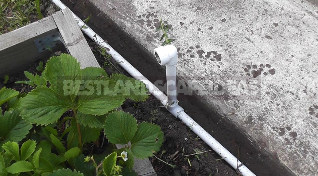 Self-Flowing System For Watering The Garden And Greenhouse With Your Own Hands