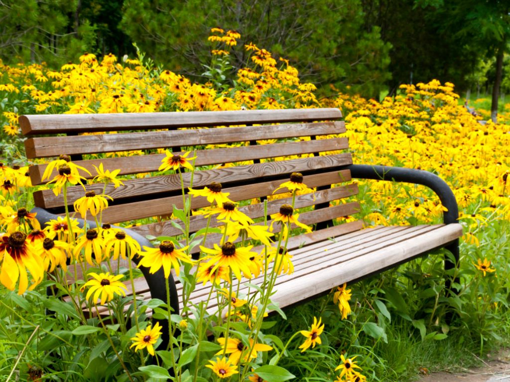 Seven Reasons To Relax In The Garden. Comfortable Benches For Every Taste