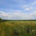 Signs Of July