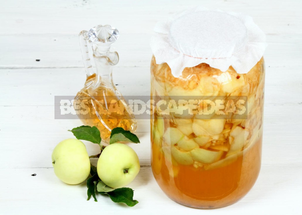 Apple Cider Vinegar For All Occasions