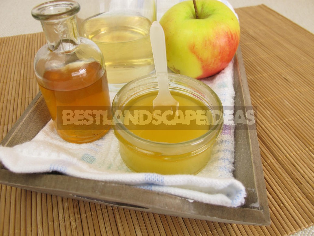 Apple Cider Vinegar For All Occasions