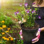 Beauty Products: Cosmetics And Garden Decor