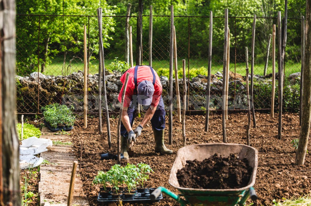 Fast Compost: Ways To Speed Up And Recipes For Cooking