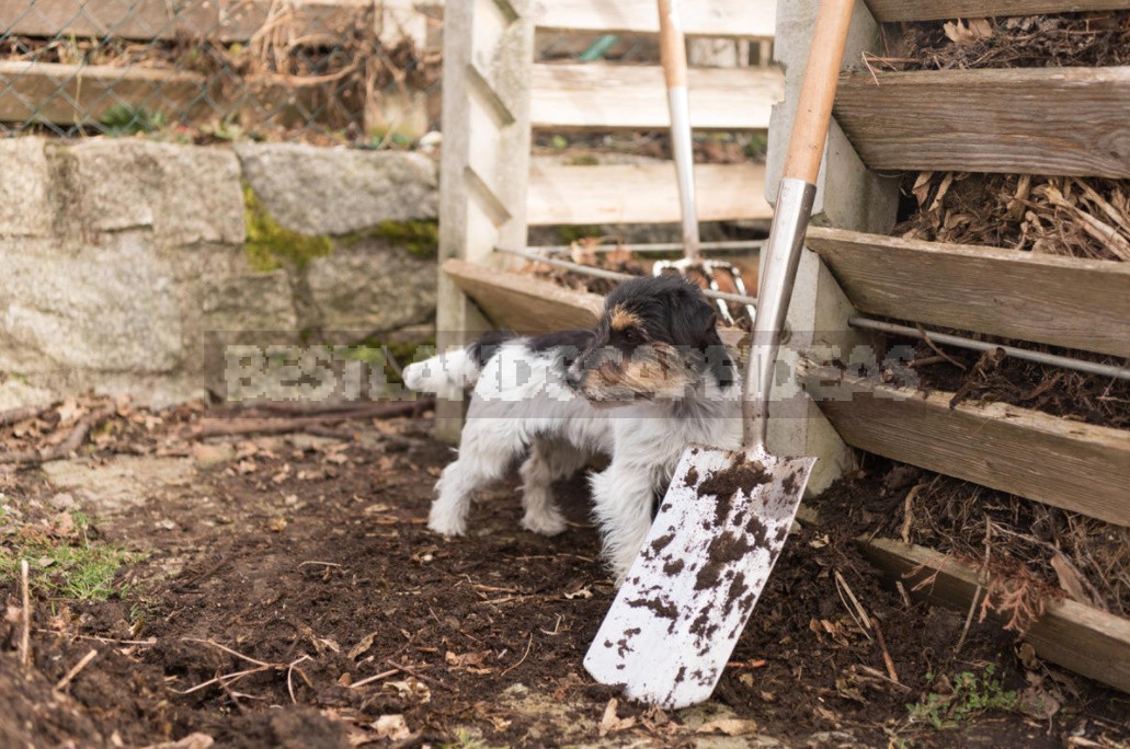 Fast Compost: Ways To Speed Up And Recipes For Cooking