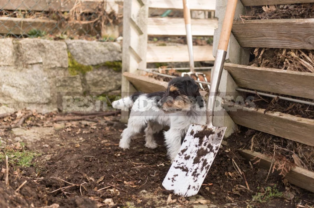 Fast Compost: Ways To Speed Up And Recipes For Cooking