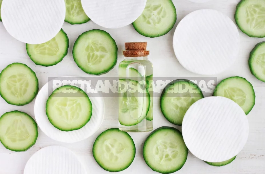 Five Natural Vegetable And Fruit Face Masks: Recipes