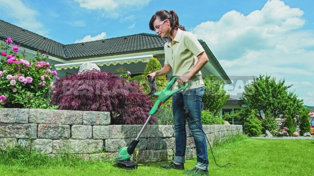 Grass Trimmers: What You Need To Know To Choose
