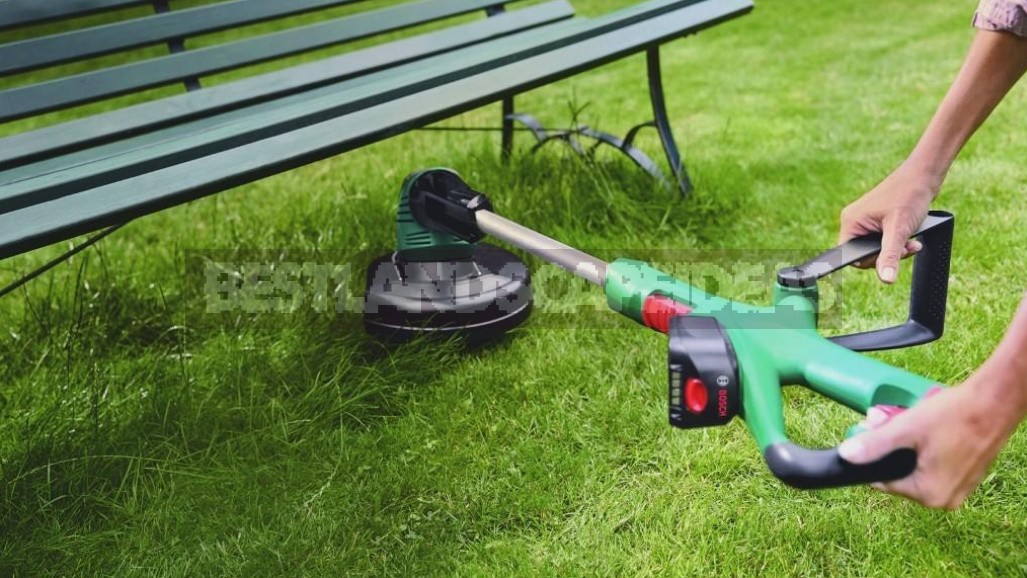 Grass Trimmers: What You Need To Know To Choose