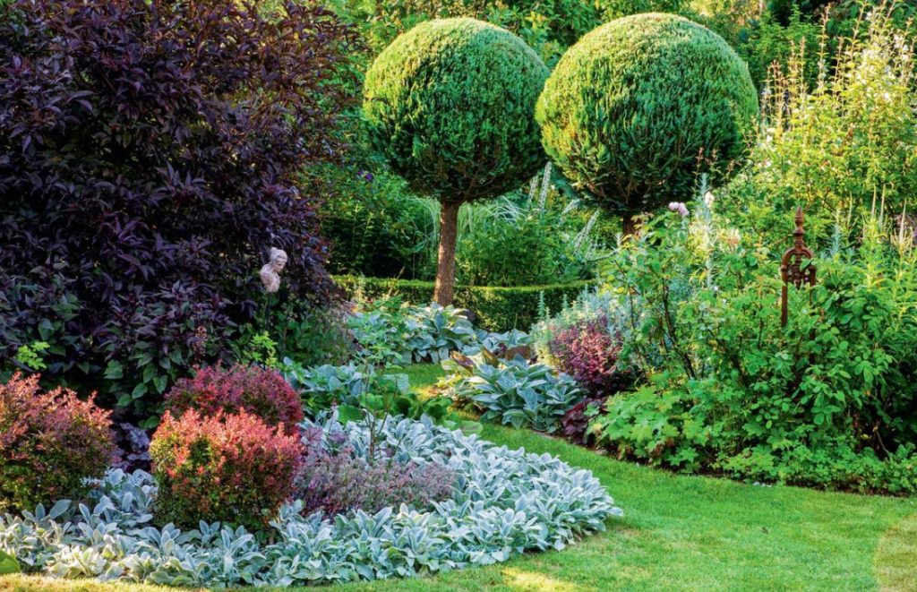 Groundcover Plants For The Garden: In The Shade And In The Sun
