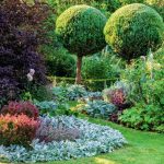 Groundcover Plants For The Garden: In The Shade And In The Sun