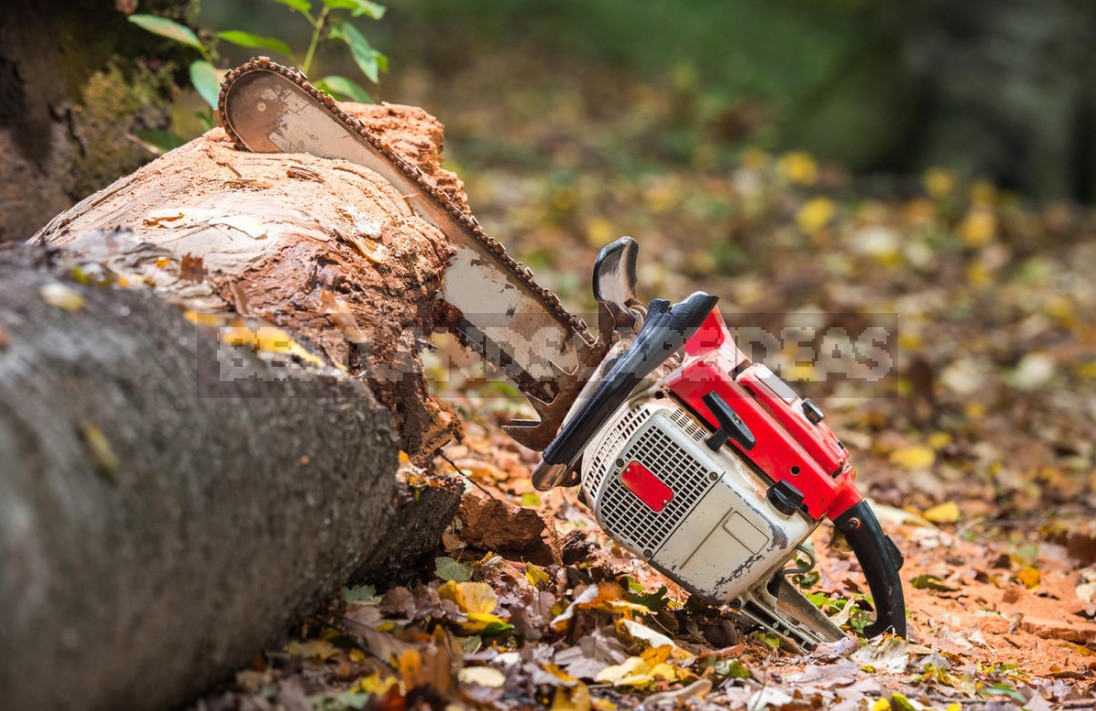 How To Care For a Chainsaw So That It Doesn't Break (Part 2)