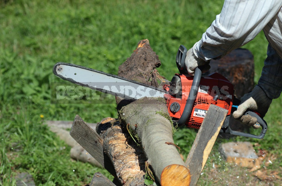 How To Care For a Chainsaw So That It Doesn't Break (Part 1)