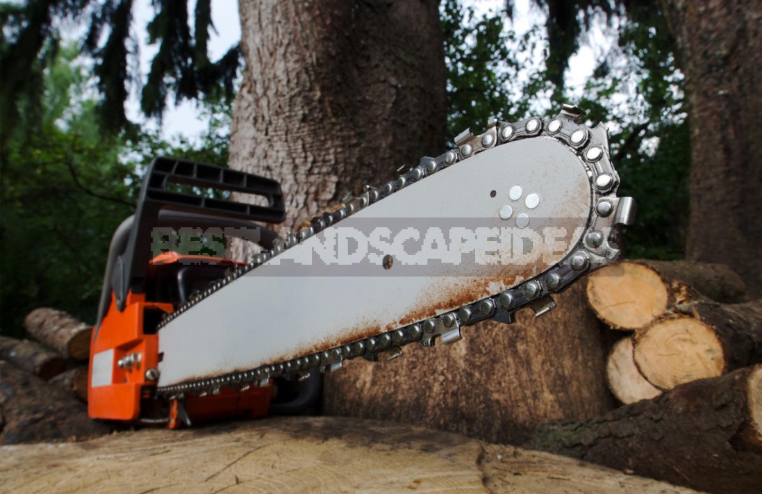 How To Care For a Chainsaw So That It Doesn't Break (Part 1)