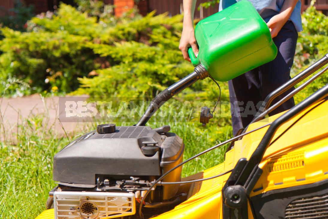 How To Care For a Lawn Mower And Trimmer So That They Last Longer (Part 2)