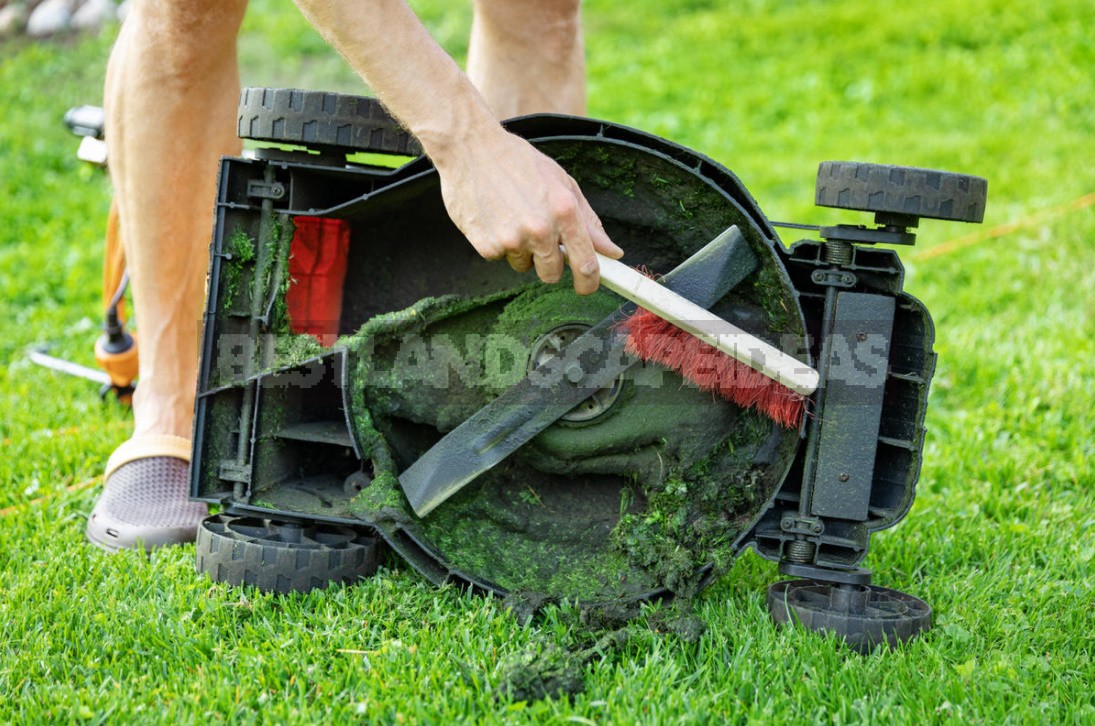How To Care For a Lawn Mower And Trimmer So That They Last Longer (Part 1)
