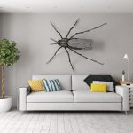 Insects In Our Homes: Photos, Description, Harm