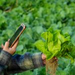 Internet In a Country House: 8 Reasons To Stay Connected