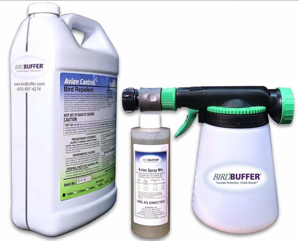 Scaring Birds The Devices And Drugs To Protect The Garden Best