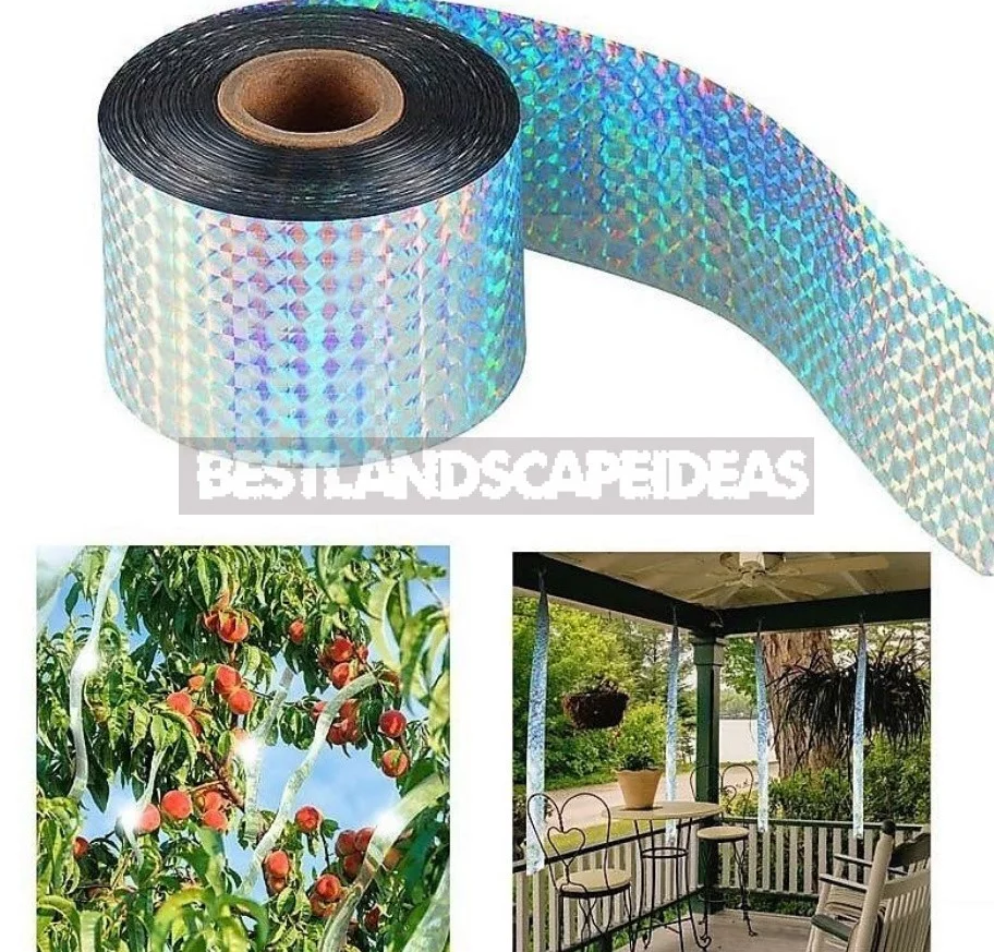 Scaring Birds: The Devices And Drugs To Protect The Garden