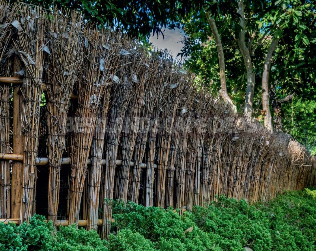 Spectacular Fences For Cottages Made Of Different Materials: Photos, Ideas