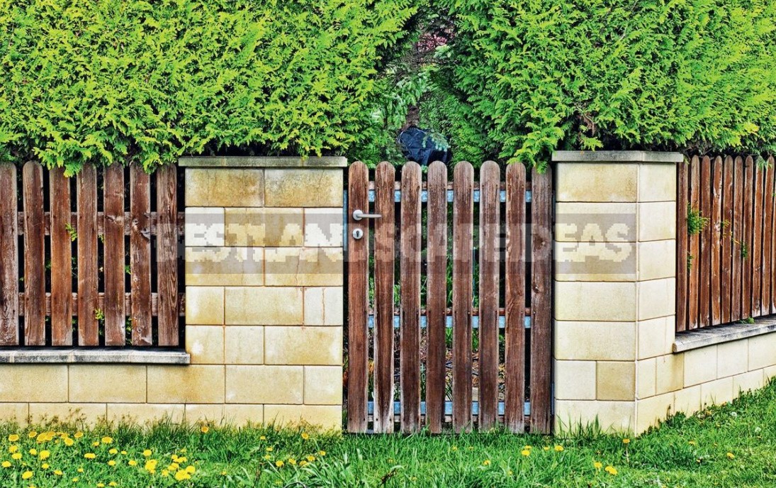 Spectacular Fences For Cottages Made Of Different Materials: Photos, Ideas