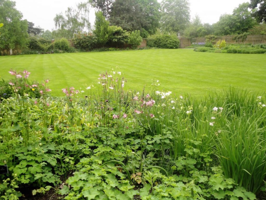 The Downside Of a Perfect Lawn: What The Dream Of a Green Lawn Can Turn Into (Part 1)