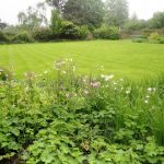 The Downside Of a Perfect Lawn: What The Dream Of a Green Lawn Can Turn Into (Part 2)