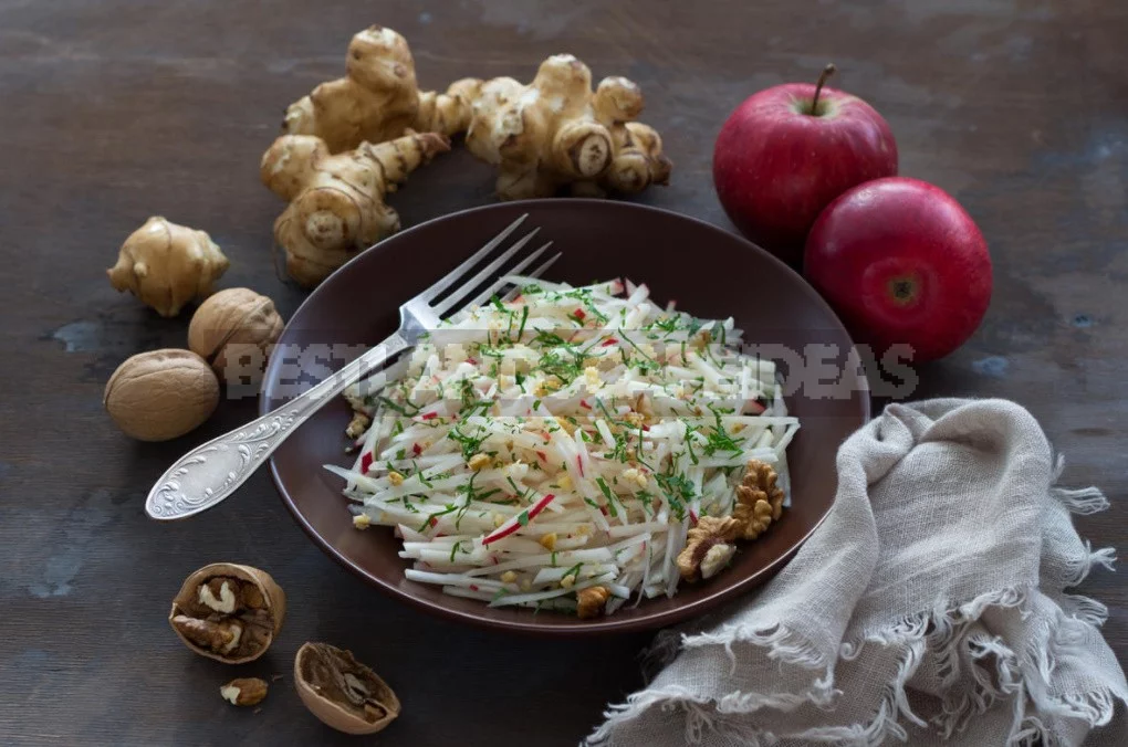 The Many Faces Of Jerusalem Artichoke And Its Beneficial Properties (Part 2)