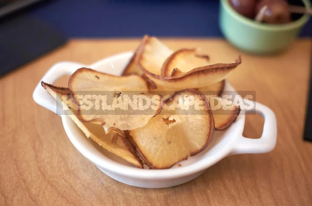 The Many Faces Of Jerusalem Artichoke And Its Beneficial Properties (Part 2)