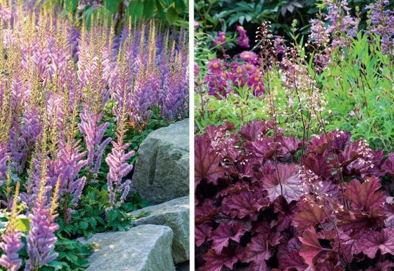 What Plants Don't Like Slugs Examples Of Flower Beds Best Landscape