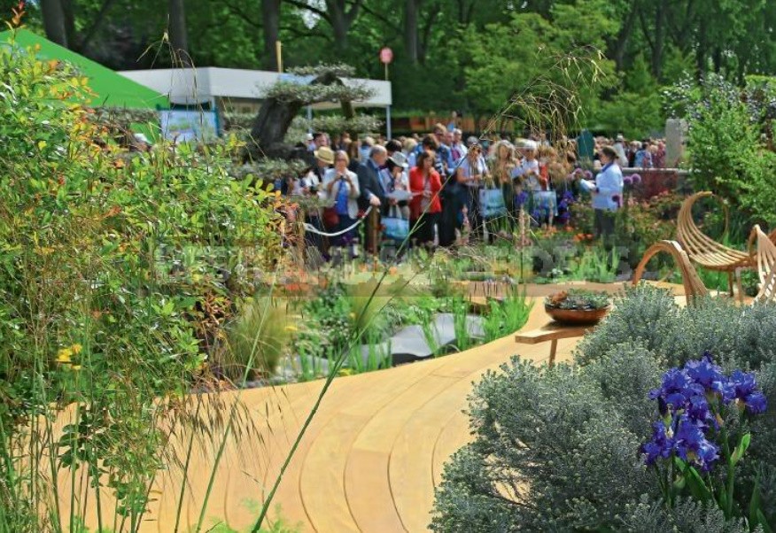 Garden Exhibitions: Secrets Of Successful Photography