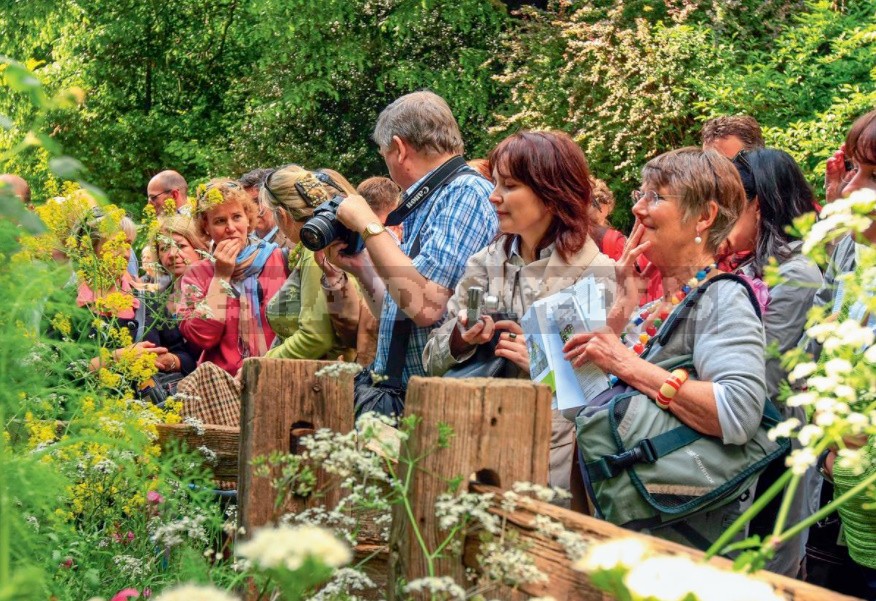 Garden Exhibitions: Secrets Of Successful Photography