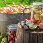 Preparations From Fallen Apples: Compote, Jam, Juice, Cider, Vinegar, Dried