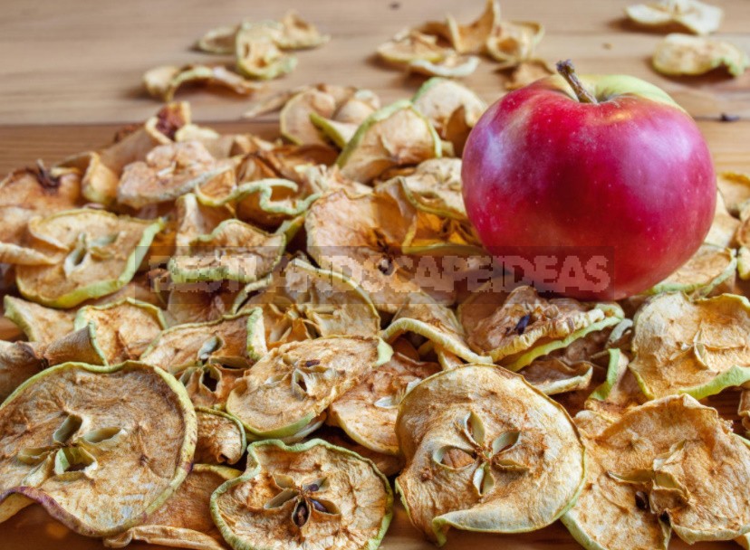 Preparations From Fallen Apples: Compote, Jam, Juice, Cider, Vinegar, Dried