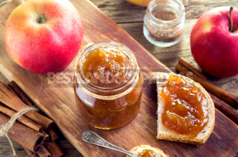 Preparations From Fallen Apples: Compote, Jam, Juice, Cider, Vinegar, Dried