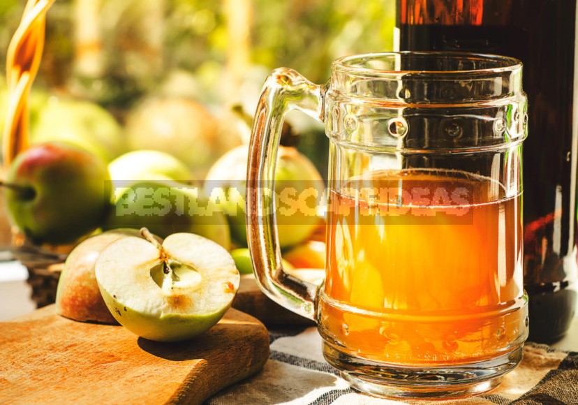 Preparations From Fallen Apples: Compote, Jam, Juice, Cider, Vinegar, Dried