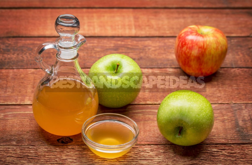 Recipes For Cooking And Using Apple Cider Vinegar