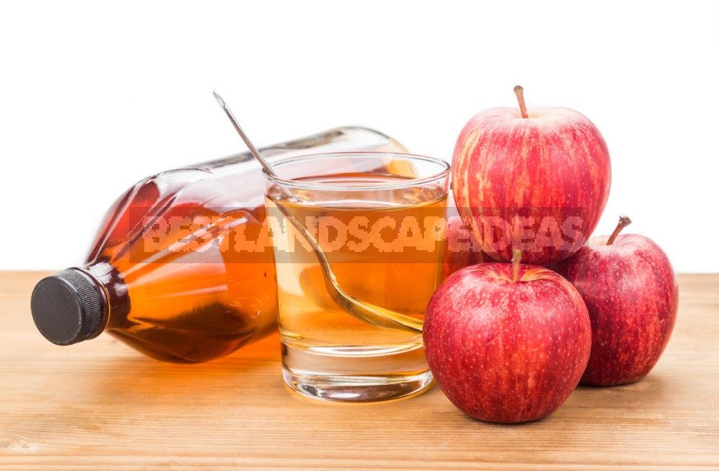 Recipes For Cooking And Using Apple Cider Vinegar