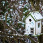 And The Table, And The House: Feeders, Drinkers And Houses For Birds