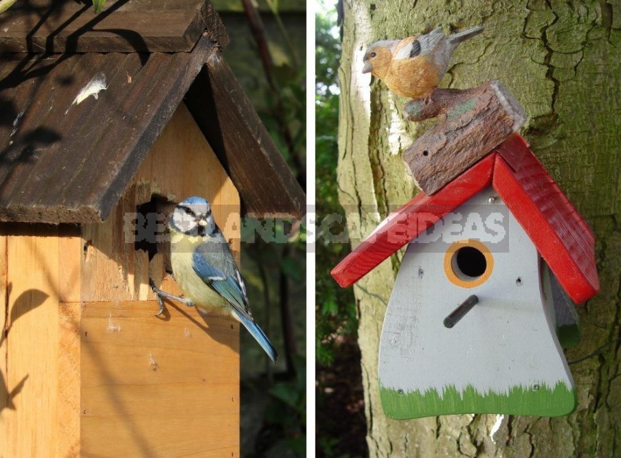 And The Table, And The House: Feeders, Drinkers And Houses For Birds