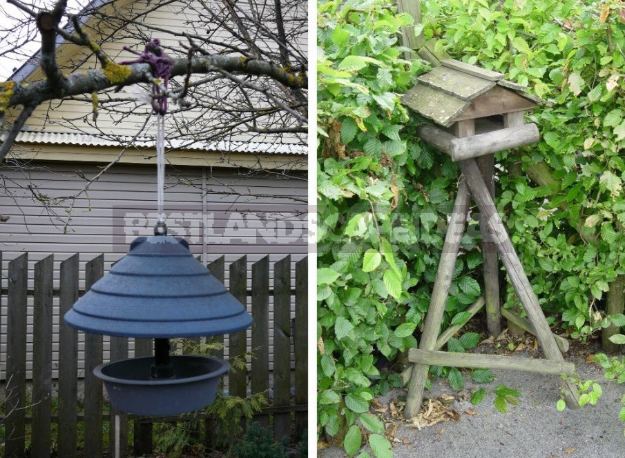 And The Table, And The House: Feeders, Drinkers And Houses For Birds