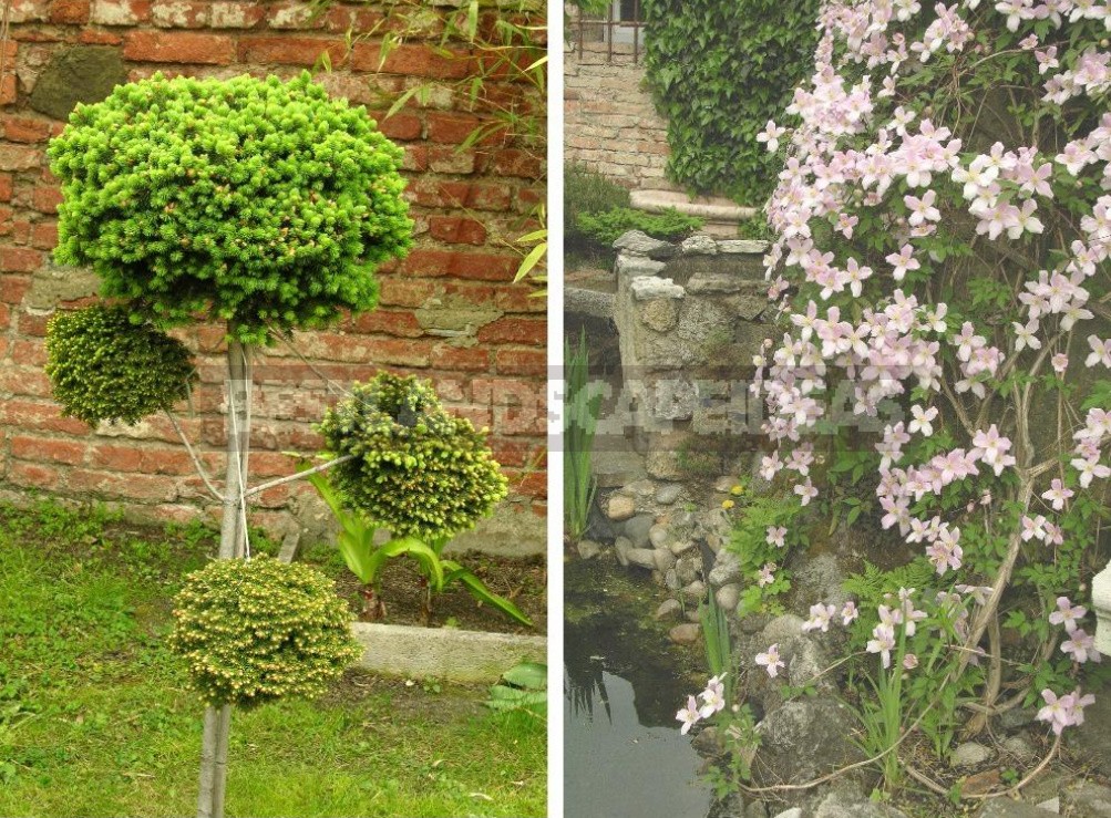 Belvedere, Vienna, April: Walk In The Rock Garden