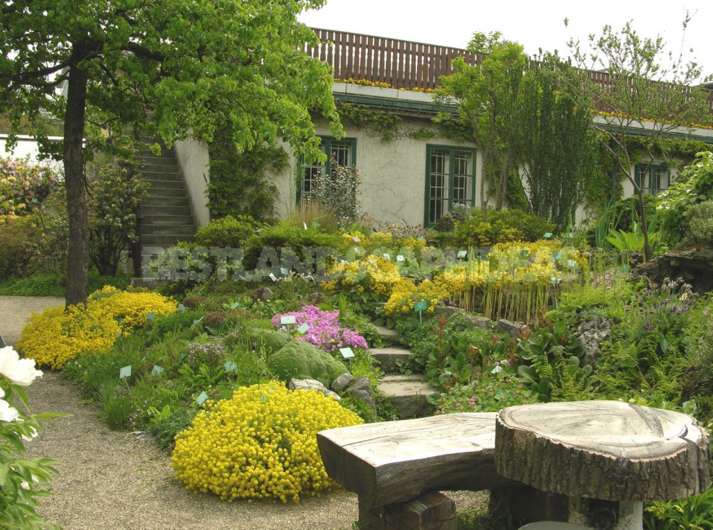 Belvedere, Vienna, April: Walk In The Rock Garden