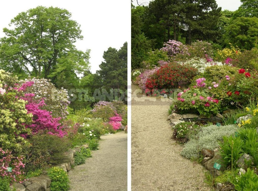 Belvedere, Vienna, April: Walk In The Rock Garden