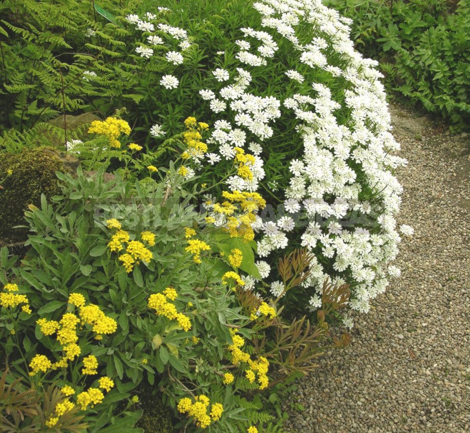 Belvedere, Vienna, April: Walk In The Rock Garden